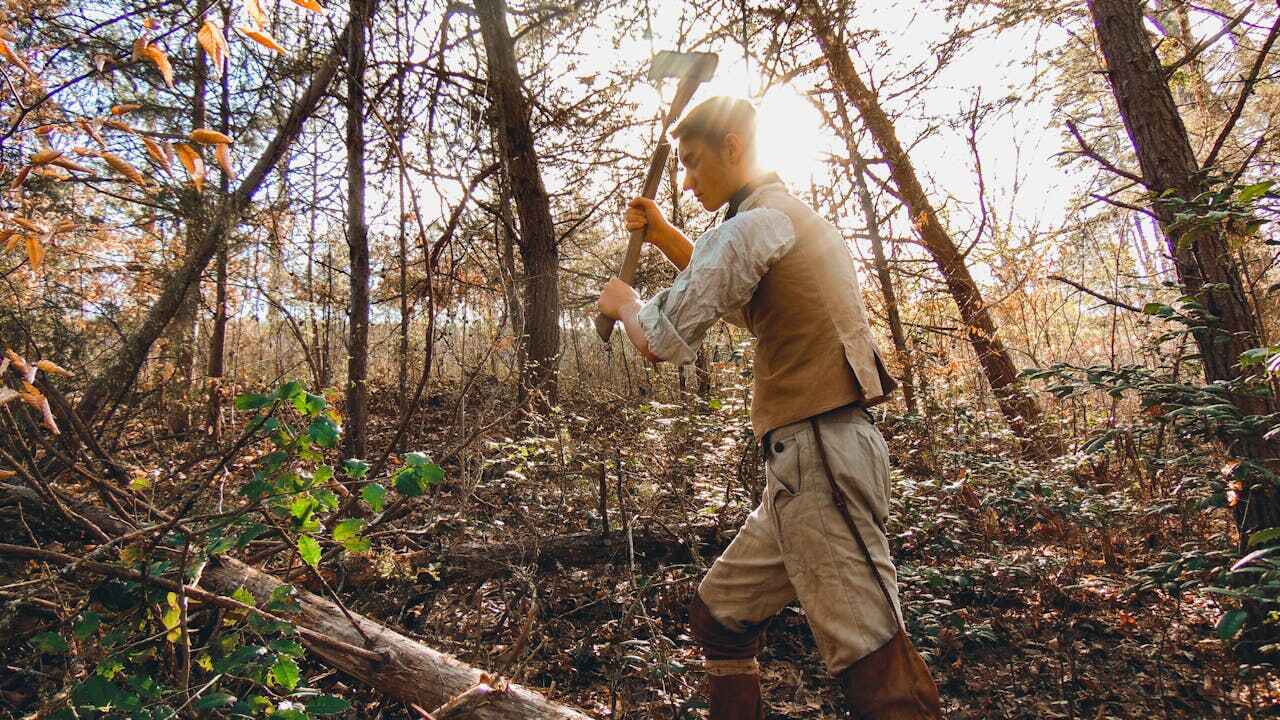 Best Dead Tree Removal  in Forsyth, MO